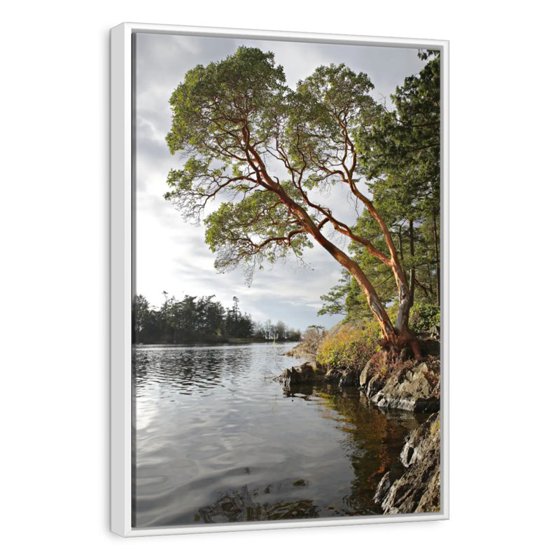 Arbousier au bord de l'eau, Cadre flottant blanc, 29" x 43"