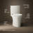 Veil Two-Piece Elongated Toilet With Skirted Trapway 1.28 GPF-97851093-101379920