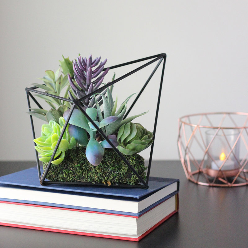 Arrangement de plantes grasses artificielles 6,75 po