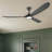 3-Blade Indoor Smart Ceiling Fan with Light and Remote/APP Control,3 LED Colors,6 Speed Quite DC Motor,Timer-1529252-1529241