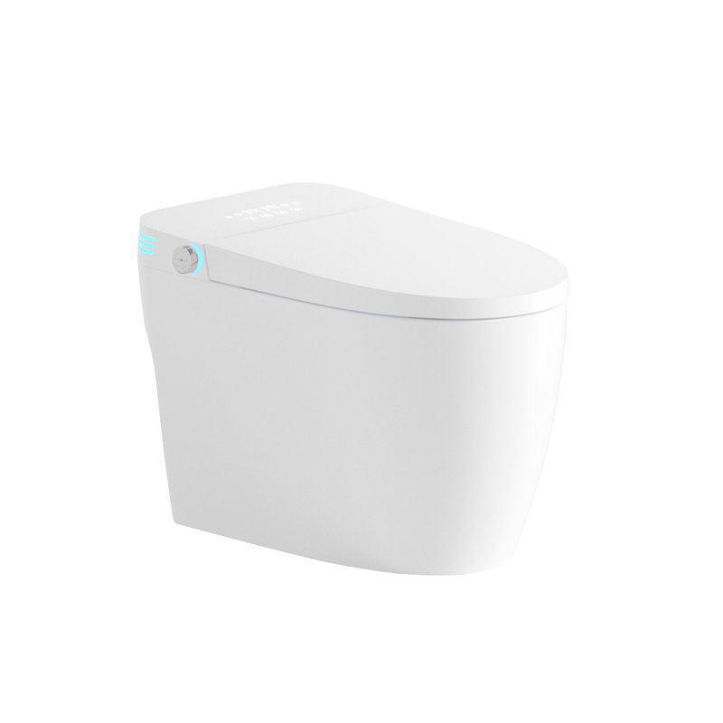 Toilette intelligente avec bidet intégré, chasse d'eau automatique et siège chauffant, fonction de séchage à l'eau chaude réglable, options de lavage multiples, y compris lavage par bulles de massage, affichage numérique coloré nuit douce, pied