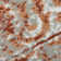 Calam Traditional Durable Performance Orange/Gray Indoor Area Rug