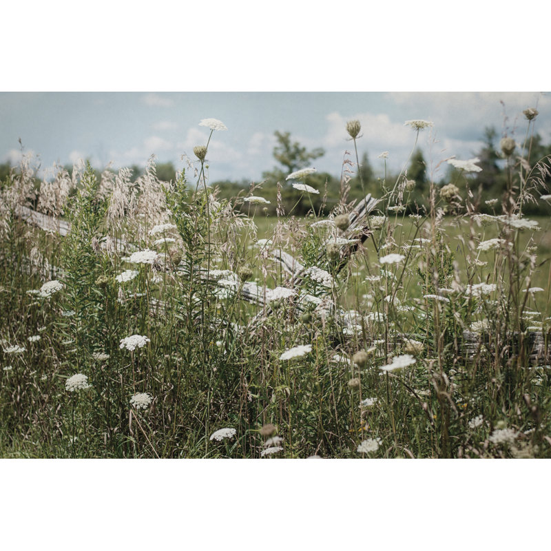 Sun Drenched III Crop - reproduction d'art sur toile encadrée, H 36 po x l 24 po