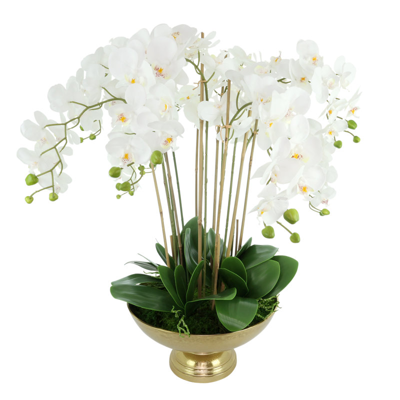 Arrangement d'orchidées dans un vase rond en métal