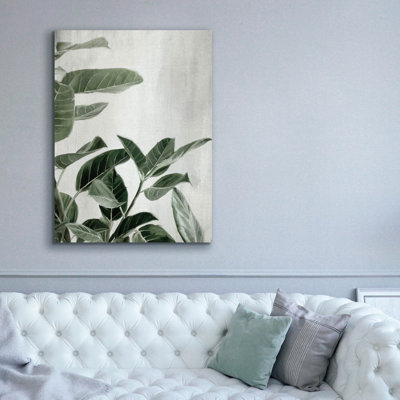 'Ficus' by Svetlana Aleynikova Canvas Wall Art