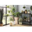 132.08cm Faux Succulent Plant in Planter