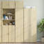 Rafuel 45cm Sideboard-946174230