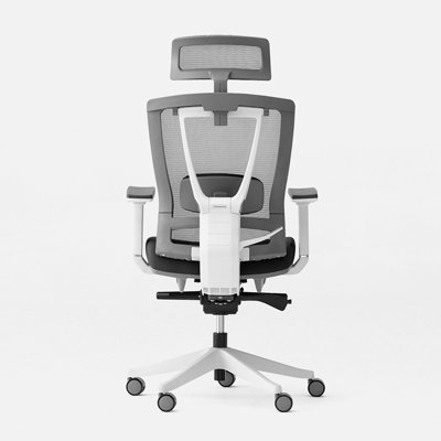 Ergochair Pro Office Chair Lumbar Support Foam Black And White