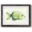 Poisson d'eau douce moucheté II-562123178-562123182