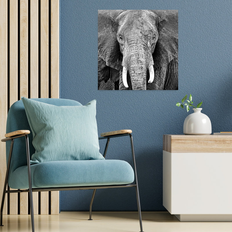 Éléphant, art contemporain de la faune, H 18 po x l 18 po