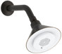 Oil-Rubbed Bronze