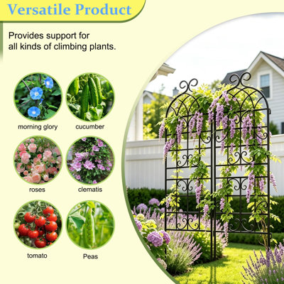 Lot de 2 treillis de jardin rustiques en fer forgé noir de 180 x 51 cm pour plantes grimpantes d'extérieur, arche décorative en métal noir.