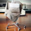 Coussin de plage d’automne en mer rocky-30728222-30728225