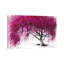 Pink Plum Park by Ashvin Harrison - Print on Canvas-51578525-51578497