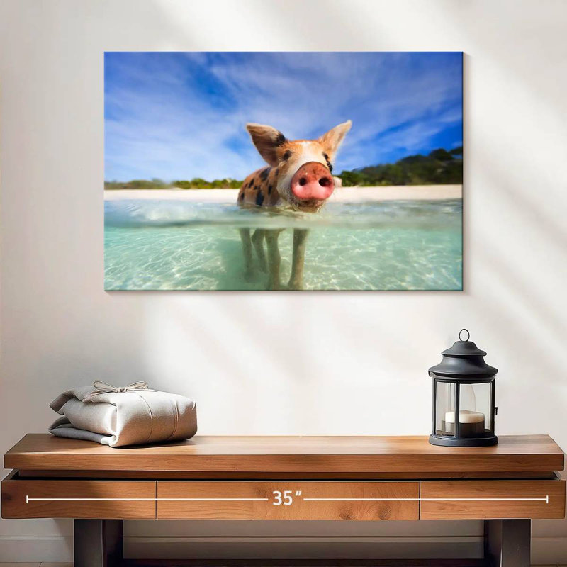 Brampt Cochon à Exuma, Bahamas, H 16 po x l 24 po