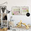 Ensemble de 2 toiles Motivational Dream Sentiments, design par Kim Allen-35294468