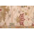 Jules Serapi Ivory Rug 10'1" x 14'0"