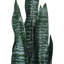 60cm Artificial Bird of Paradise Plant Fake Tropical Tree in Pot for Indoor Outdoor-510365093