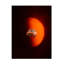 «Ologia »sur toile-94838266