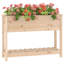 Aalap Wood Raised Garden Bed-1019041430-1019041439