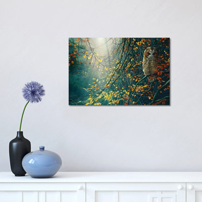 " Tawny Owl " Color Photography Print