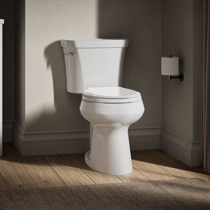Highline 1.28 GPF Water Efficient Round Two-Piece toilet (Seat Not Included), White