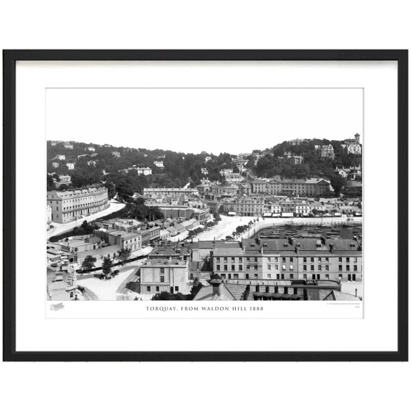 Torquay, From Waldon Hill 1888 by Francis Frith - Single Picture Frame Print, 60cm H x 80cm W x 2.3cm D