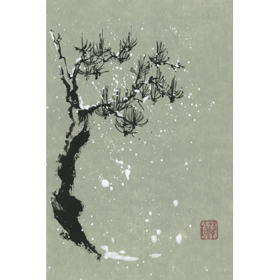 Snowy Pine I by Nan Rae - Wrapped Canvas Print