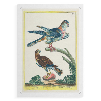 Pastel Birds III - Impression sur toile seulement - NON-CADRE