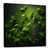 Black Floater Framed