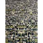 Machine Woven Grey/Green/Black Rug-87903999