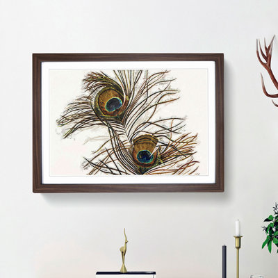 Vintage Peacock Feather Illustration - Picture Frame Painting Print on MDF
