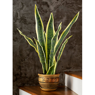  Artificial Snake Plant – Faux Sansevieria Potted Plant With Realistic Leaves, Low-Maintenance Indoor Décor For Home, Office, Or Apartment, 5" Diameter & 20" Tall