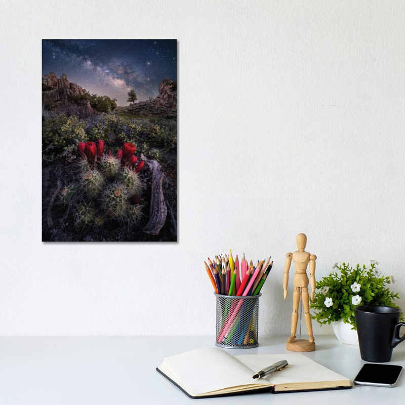 Colorado Nightscape - Claret Cup Cactus With Milky Way Galaxy Night Sky 1 Piece Wall Art on Canvas, Does Not Apply