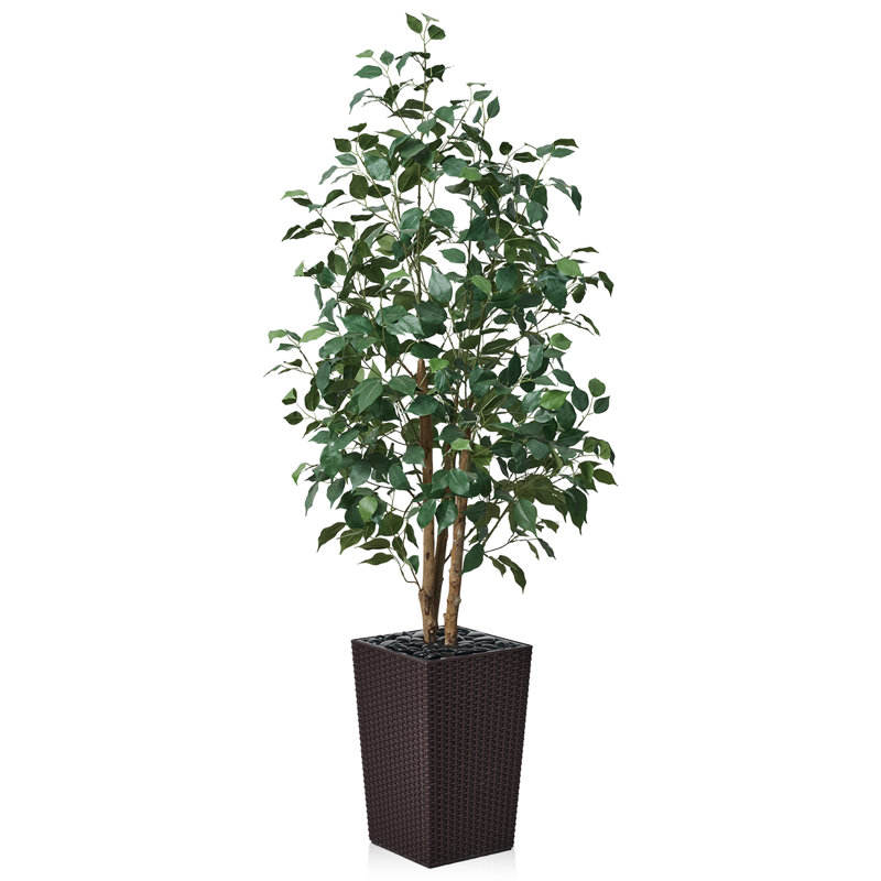 Adcock UV Protected Artificial Ficus Tree with Decorative Base, Faux Ficus Plant with Natural Trunk, 60" H x 20" W x 20" D