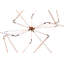 Isotope LED Chandelier