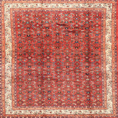 Oriental Indoor Rug