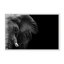 Nature Inspired Elephant by  - Picture Frame Photograph on Paper-131298012-131298015-131298024