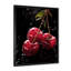 «Black and red Cherry Delight 1», art mural cerise-784924793-784924774