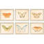 Butterflies S/6 Print by Meagher