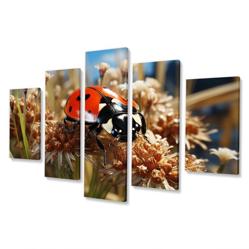  'Adventurous Red Ladybug I - Ladybug Multipanel Wall Art Set