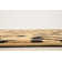 Testerman Animal Print Indoor Rug