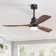132cm 1 - Light Led Ceiling Fan Light With Remote Control