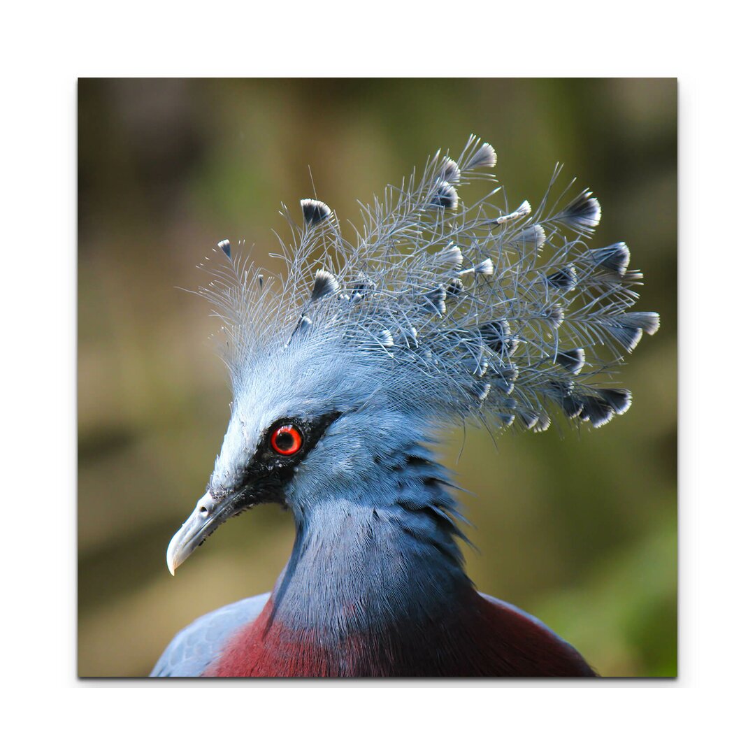 Leinwandbild Blauer Pfau