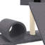 Macsen Cat Perch-522299615