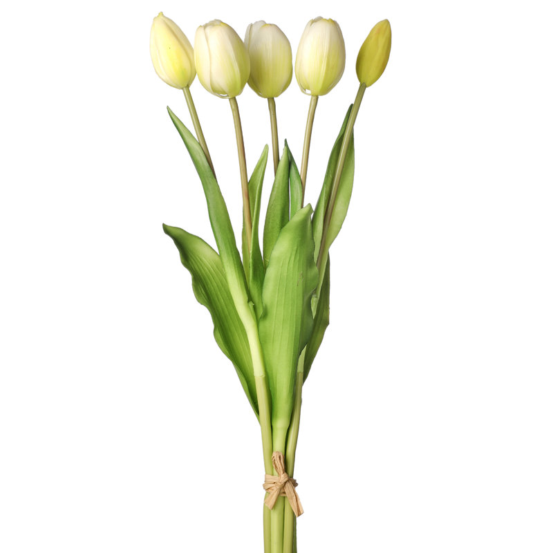 Tige de tulipe douce au toucher, Blanc