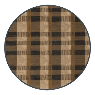 Machine Washable Checkered Brown Area Rug