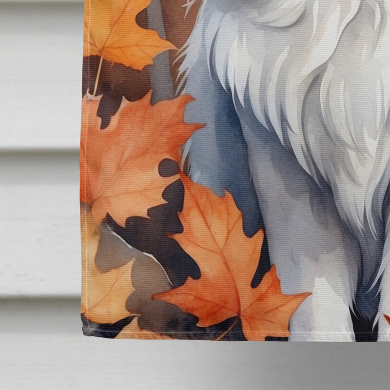 Chat en feuilles d'automne, Angora Turc