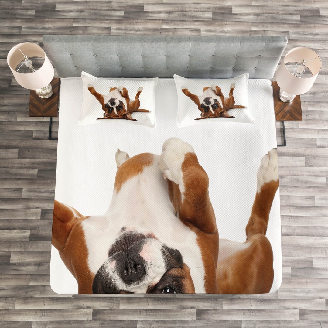 Gestepptes Bettdecken-Set, Lustige Playful Puppy Bild, Boxer-Hund, Pale Caramel Dunkelbraun