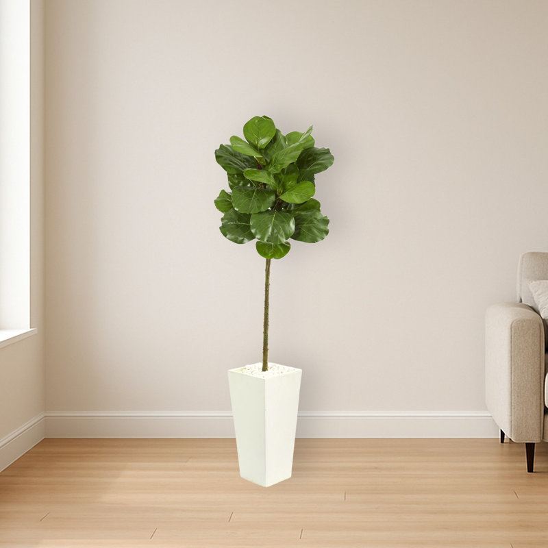 Fiddle Leaf Artificial Tree in White Tower Planter